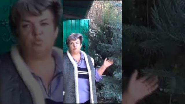 Строительные Путешествия