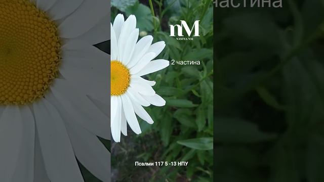 Библия Слово Божье 2 частина #писание #біблія #библия #bible #biblestudy смотреть онлайн