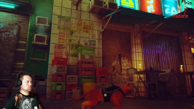 Stray # 5 "Клементина" смотреть онлайн