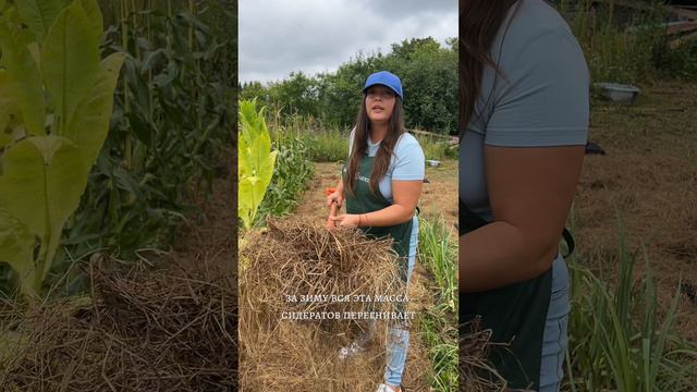 СЕЙТЕ СИДЕРАТЫ! смотреть онлайн