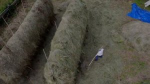 НЕВОЗМОЖНО НЕ ЛЮБИТЬ ЭТУ ПЕСНЮ