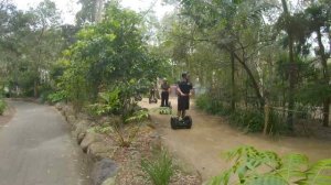 Segway Safari