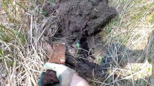Копаем металлолом с металлоискателем, где копать металлолом, коп 2021.
