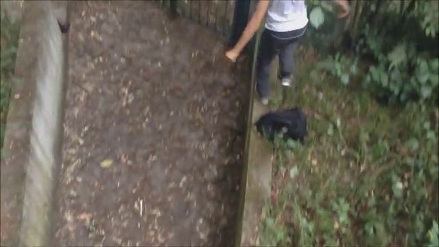 Parkour Free run duo Rdk and Fanox / belle vue 2* смотреть онлайн