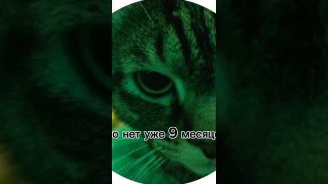 ну тип 21 марта будет 10 месяцев... смотреть онлайн