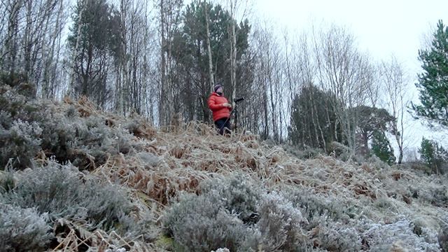 Пейзажная фотография. Выделение объекта в условиях без света. смотреть онлайн