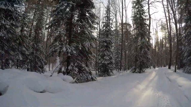 В минус 40 по заснеженной тайге и реке Баззаихе