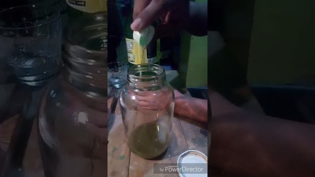 How to make Organic Insecticide? - Investigatory Project in Biology смотреть онлайн