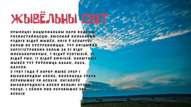 Виртуальная экскурсия "Национальный парк ПРИПЯТСКИЙ" СШ №11 смотреть онлайн