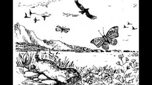 Борьба за огонь (9). На берегах большой реки