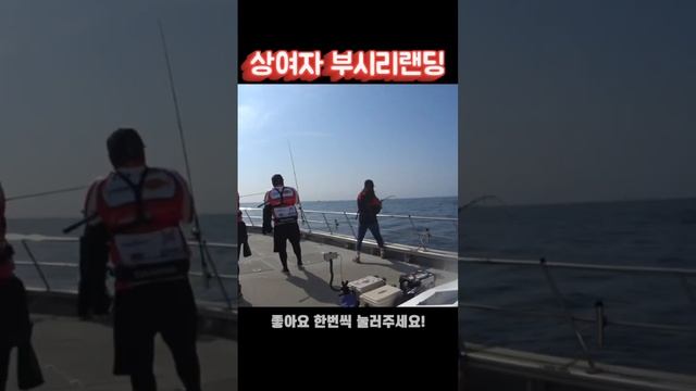 왕돌초 파핑 부시리 방어사냥 #빅게임 #빅게임낚시 #파핑낚시 смотреть онлайн