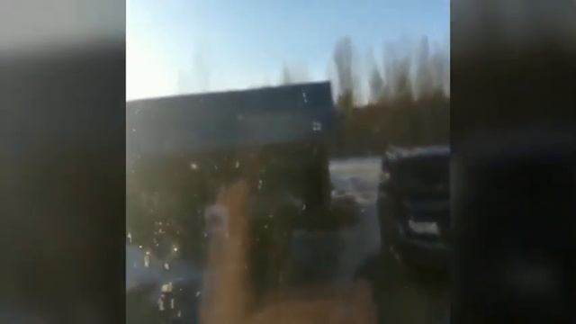 Медведь ломится в дом смотреть онлайн