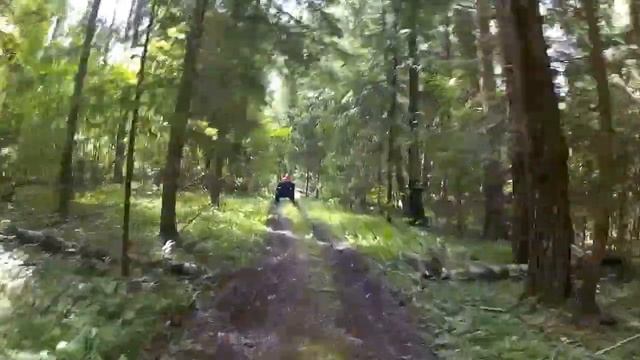 Покатушки на Квадриках. Стелс Гепард 650 и 2 Гризлика смотреть онлайн