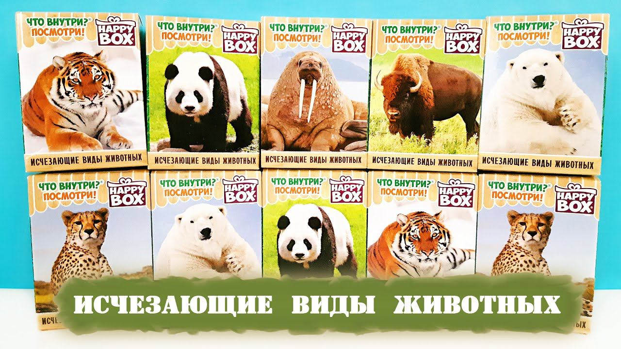 ИСЧЕЗАЮЩИЕ ВИДЫ ЖИВОТНЫХ СЮРПРИЗЫ HAPPY BOX 2020! ЭКО-игрушки из дерева Surprise toys unboxing смотреть онлайн
