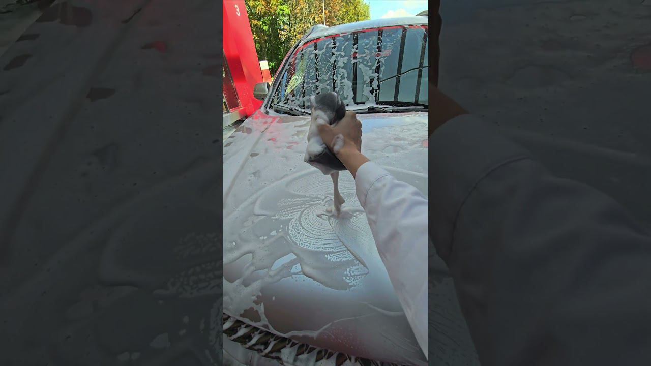 Мудрость Haval M6 #2024 #automobile #лето смотреть онлайн