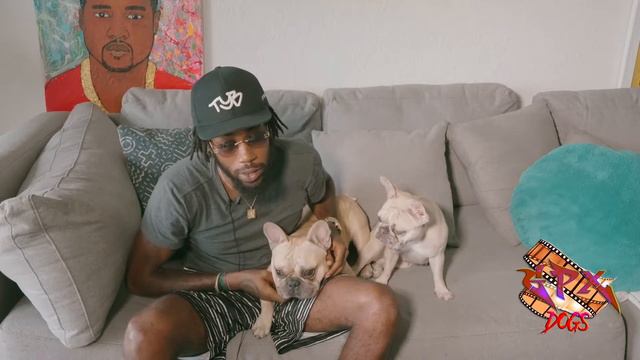 CAN A FRENCH BULLDOGS BE SHIP OUTSIDE THE COUNTRY смотреть онлайн