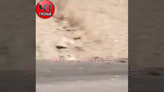 ЗОЛОТО НАШЛИ В ГОРАХ ЧЕЧНИ??