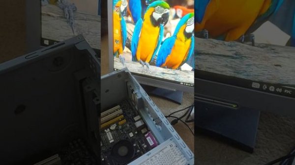 Проверка Блок питания Krauler 450w