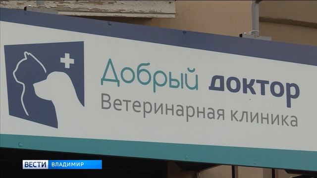 Спасение кота смотреть онлайн