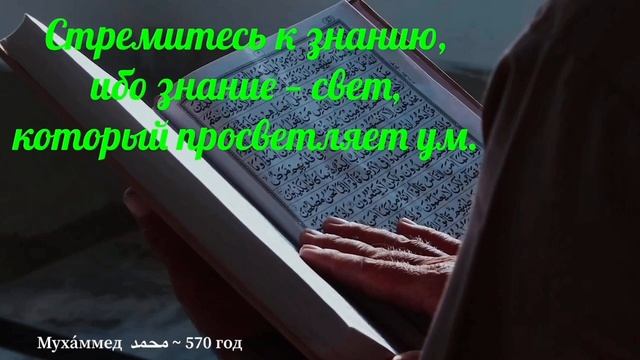 мудрость пророка МУХАММЕДА: которые перевернули мое мировоззрение смотреть онлайн