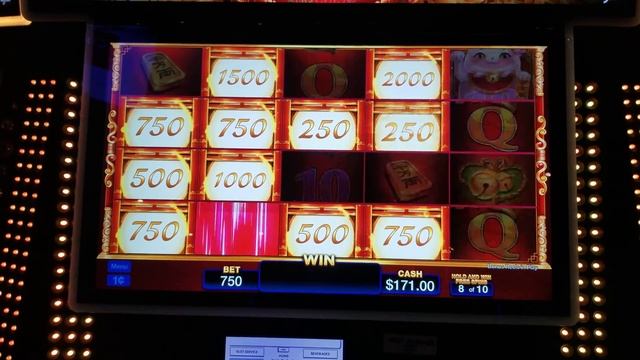 MEOW MEOW MADNESS slot machine. смотреть онлайн