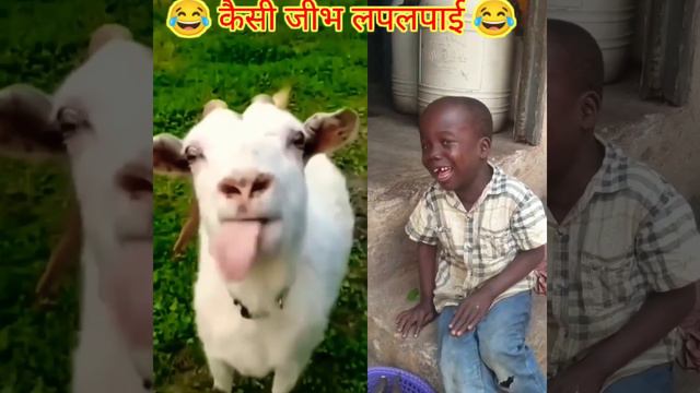 goat смотреть онлайн