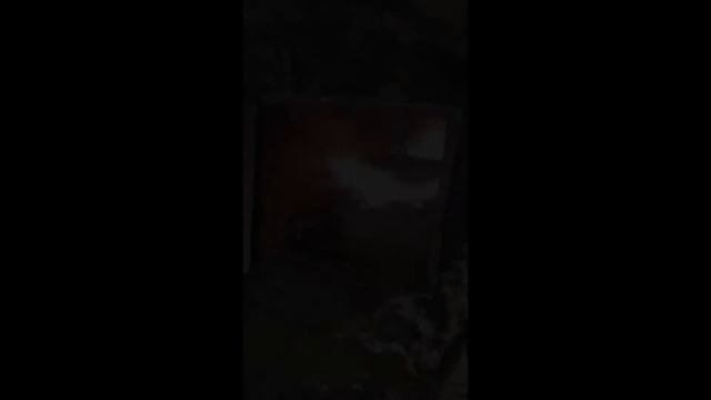 Горение лигнина в ретортной горелки смотреть онлайн