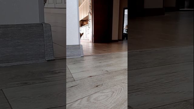 😱😐😅:) смотреть онлайн