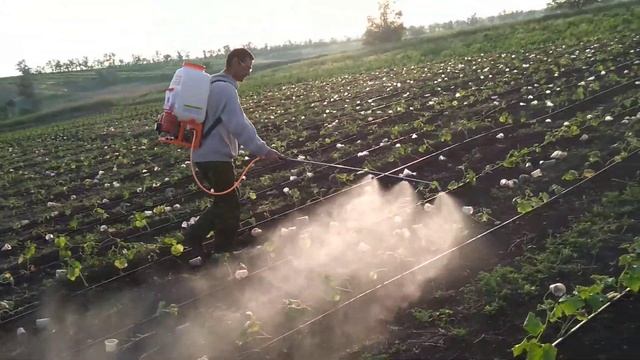 мотоопрыскиватель форте в работе смотреть онлайн