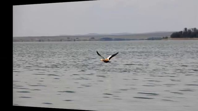 Ириклинское водохранилище. В погоне за солнцем. смотреть онлайн