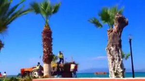 Обрезка пальмы по быстрому