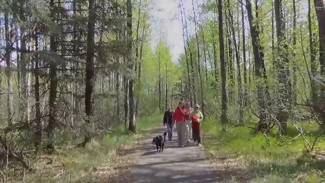 #273 США Аляска Портедж валей Выезд на шашлыки Национальный парк Чугач смотреть онлайн