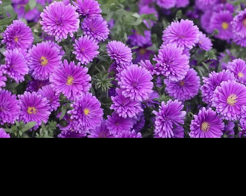 РЕЛАКС смотреть онлайн