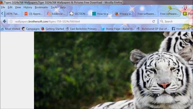 Modduloe 44 How to delete temporary Internet files from your preferred browser. смотреть онлайн