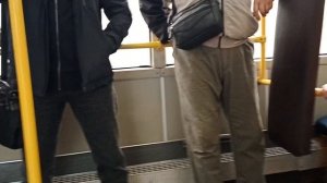 Поездка на автобусе МАЗ 203.065 гос ВВ 845 64 по маршруту №71