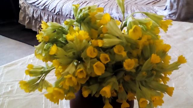 Красивая музыка Амирян мое произведение смотреть онлайн