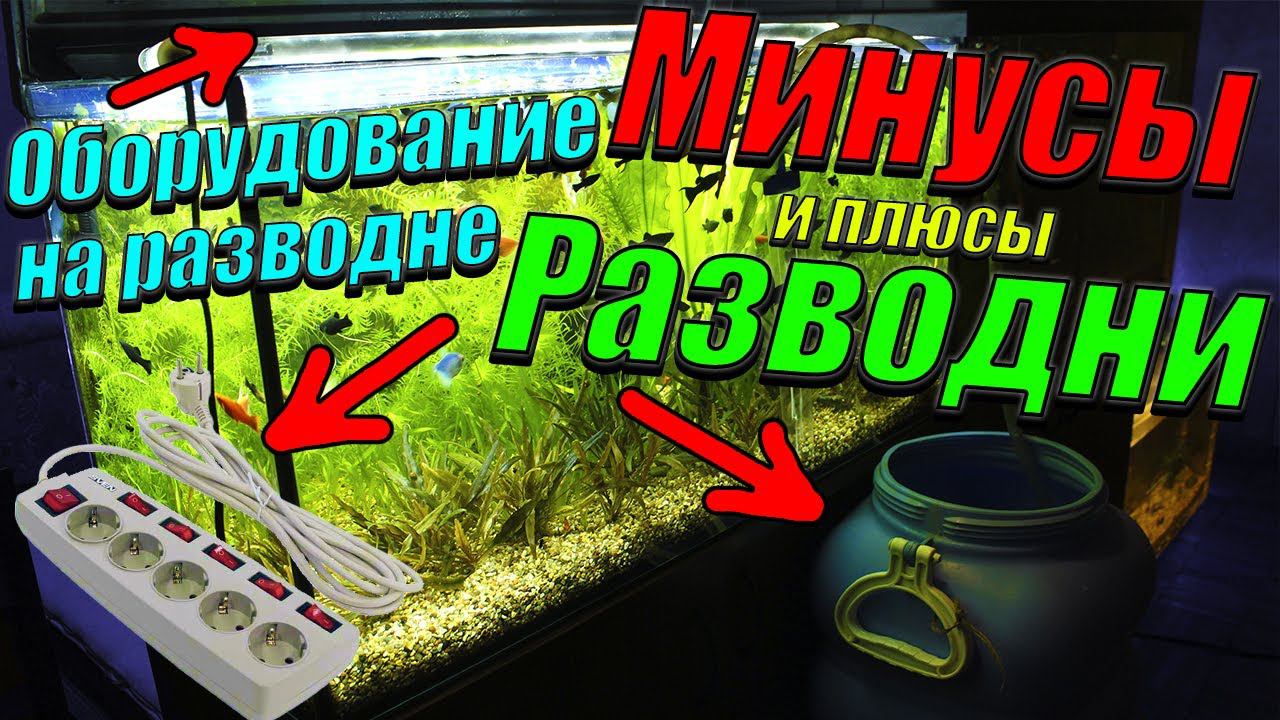 Рыборазводня аквариумных рыб! [Мои ошибки и советы по обустройству разводни!] смотреть онлайн