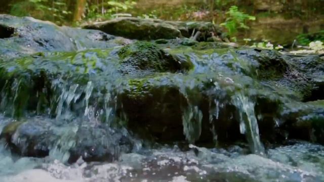 Relaxation Music - Relax River смотреть онлайн