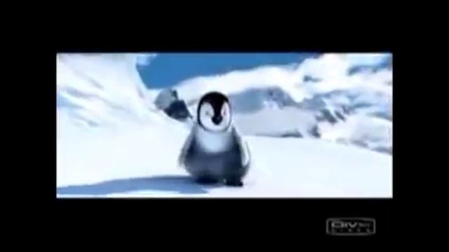 The Penguin Dance