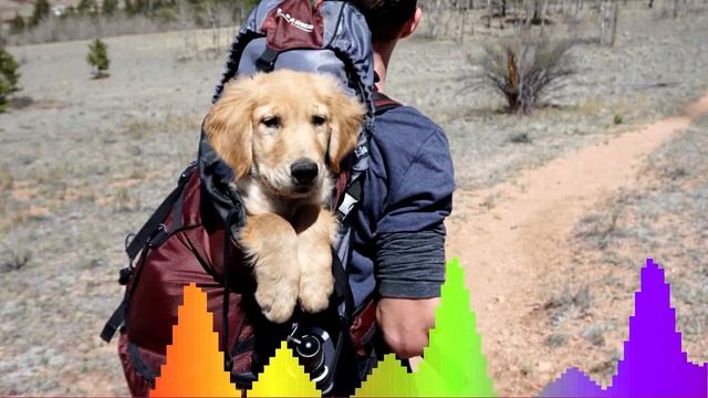 Adventure Theme смотреть онлайн