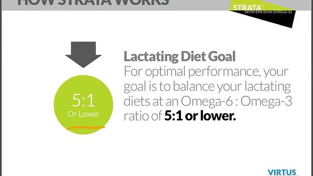 Strata Start Guide 4 How it Works смотреть онлайн