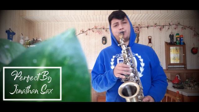 Perfect Ed Sheeran (Jonathan Sax) смотреть онлайн