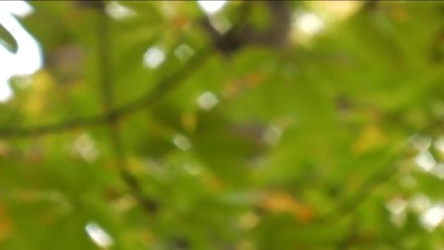 ТРЕВЕЛ ГИД СТАВРОПОЛЬ 10 10 12 1 смотреть онлайн