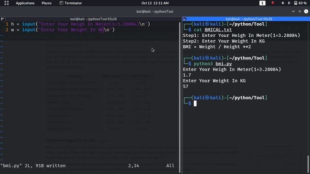Body Mass Index Tool In Python | Python Tools For Beginners | Hindi смотреть онлайн