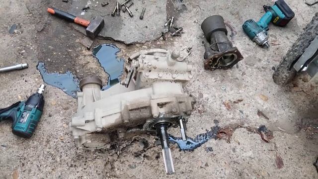 раздатка Delica