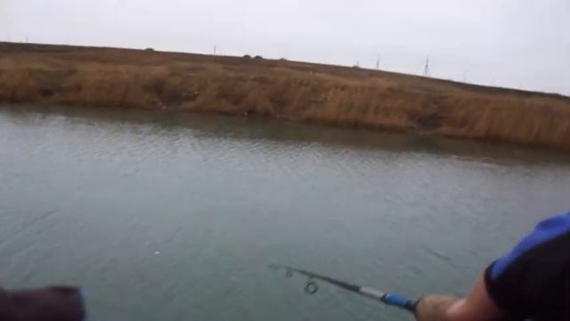 Самодельные нано Мандулы! Тест на Подкове!9.01.2020. смотреть онлайн