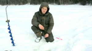 ЛОВЛЯ ЖИВЦА ЗИМОЙ НА ПАУК – СРАБОТАЕТ? Рыбалка на паук зимой!