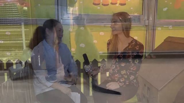 Карликовые кенгуру Валлаби смотреть онлайн