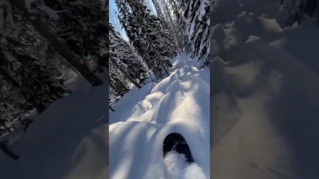 Шерегеш. Заброска на снегоходах на Верблюды смотреть онлайн