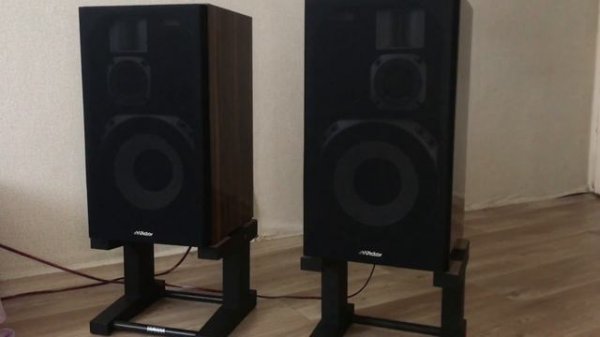 Акустика Victor Zero 30 Fine